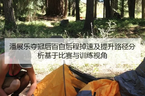 潘展乐夺冠后百自后程掉速及提升路径分析基于比赛与训练视角